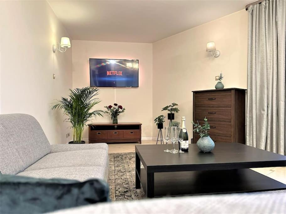 Exclusive Penthouse Near Citycenter 120M2 +Netflix Краків Екстер'єр фото